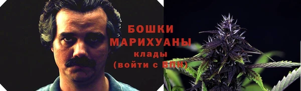 ALPHA-PVP Гусев