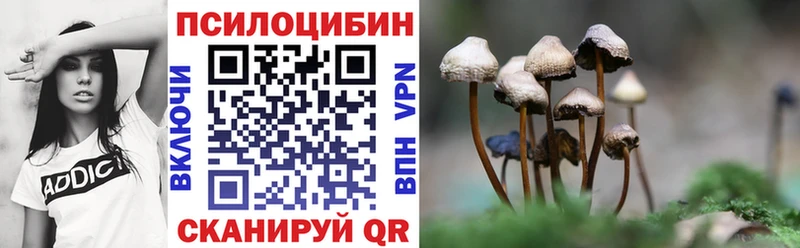 Купить закладки  Кумертау  Псилоцибиновые грибы прущие грибы 